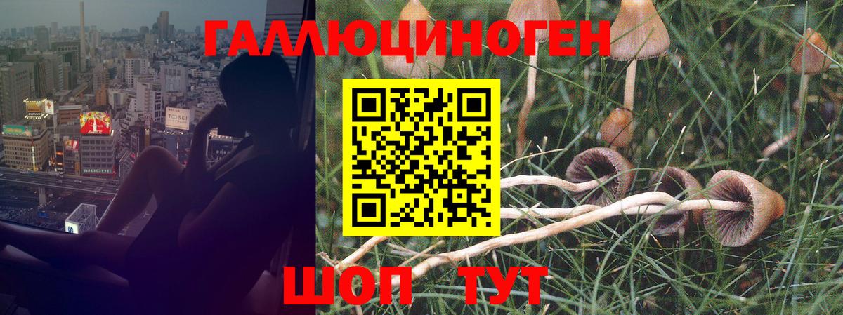 Галлюциногенные грибы MAGIC MUSHROOMS  цена наркотик  Муравленко  Вход с VPN 